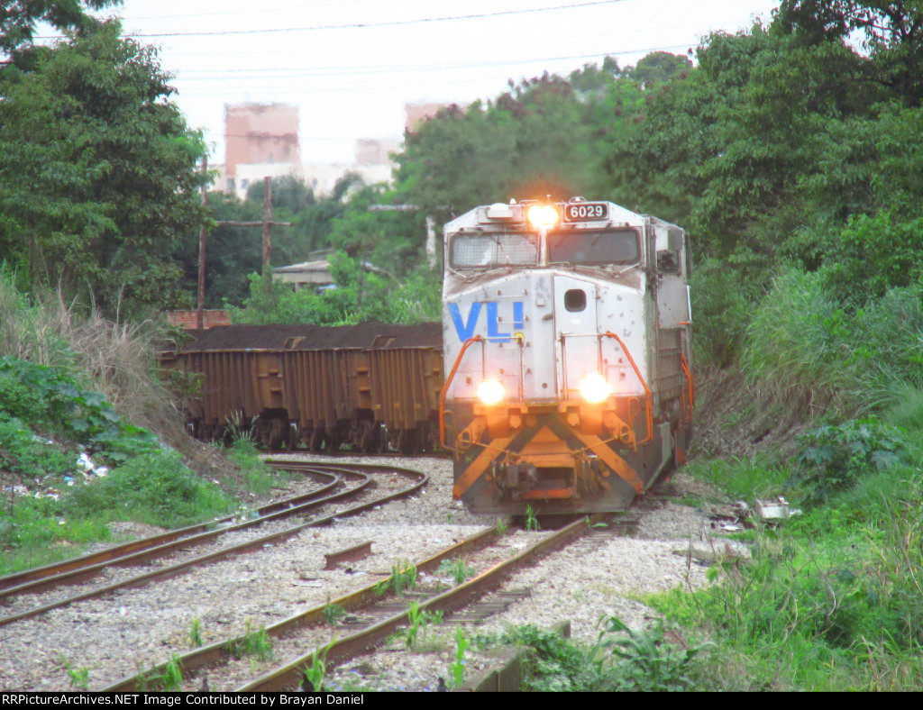 VLI 6029